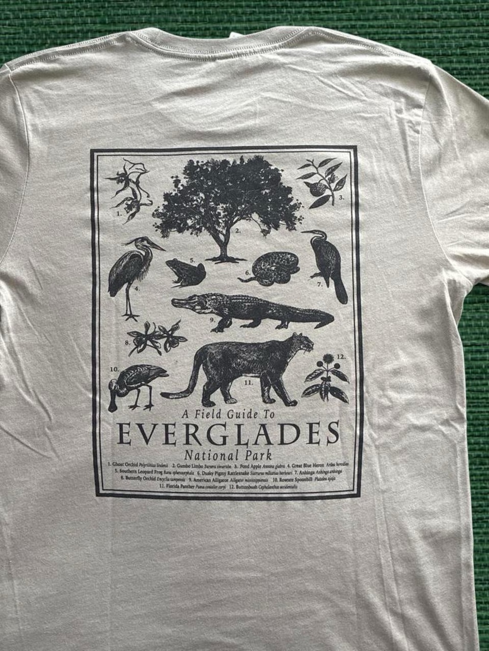 Everglades Graphic Men’s Tee in Grey